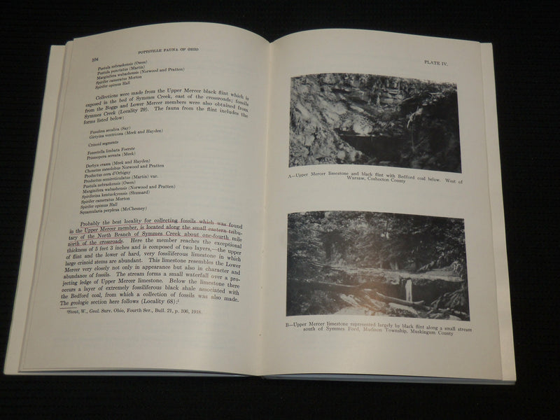 1966 POTTSVILLE FAUNA OF OHIO BOOK - GEOLOGICAL SURVEY OF OHIO - J 7049