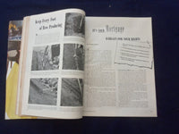 1945 JULY BETTER HOMES & GARDENS MAGAZINE - NICE ILLUSTRATED COVER - SP 6118I