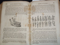 1853 A TREATISE OF ANATOMY BOOK BY CALVIN CUTTER, M. D - NICE ILLUS. - J 8118