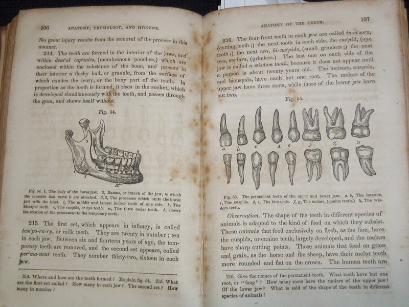 1853 A TREATISE OF ANATOMY BOOK BY CALVIN CUTTER, M. D - NICE ILLUS. - J 8118