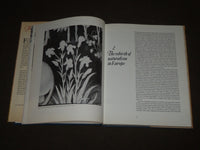 1979 FLOWERS IN ART FROM EAST TO WEST BOOK BY PAUL HULTON & SMITH - D 148
