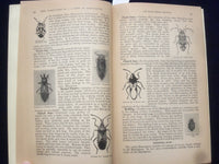 1939 4-H CLUB INSECT MANUAL - SOFTCOVER - OFFICE OF ERNEST MCFARLAND - J 9647