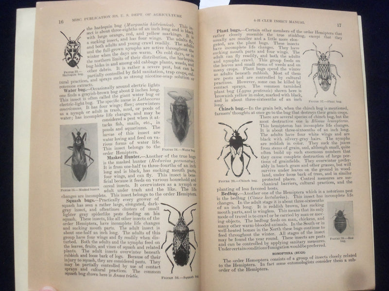 1939 4-H CLUB INSECT MANUAL - SOFTCOVER - OFFICE OF ERNEST MCFARLAND - J 9647