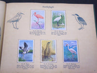 1940'S DANMARKS SERIE FRA FUGLENES VERDEN BIRDS TOBACCO CARDS ALBUM - KD 3188