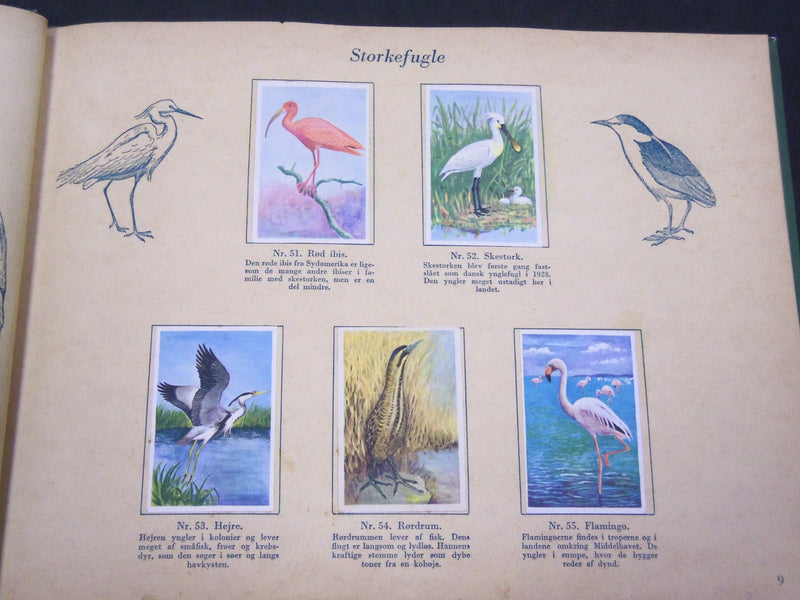 1940'S DANMARKS SERIE FRA FUGLENES VERDEN BIRDS TOBACCO CARDS ALBUM - KD 3188