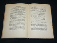 1928 PHYSIOLOGY HARDCOVER BOOK BY V. H. MOTTRAM - KD 2762D