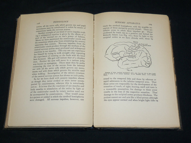 1928 PHYSIOLOGY HARDCOVER BOOK BY V. H. MOTTRAM - KD 2762D