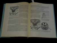 1957 RETRO PNEUMOPERITONEUM UND PPNEUMOMEDIASTINUM VON UMBERTO COCCHI - KD 5981J