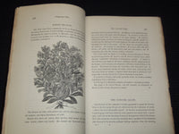 1867-1869 THE AMERICAN JOURNAL OF HORTICULTURE MAGAZINE LOT OF 4 - WR 54B