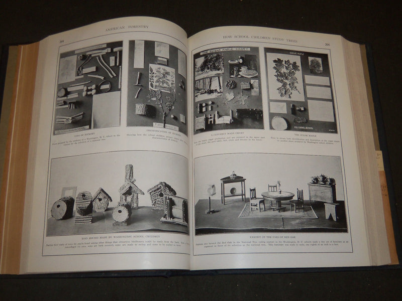 1921 JAN-DEC AMERICAN FORESTRY MAGAZINE BOUND VOLUME - COVERS & ADS - R 401
