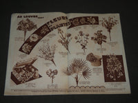 1920'S FEBRUARY AU LOUVRE PARIS FRENCH CATALOGUE - GANTS - DENTELLES - FR 1174