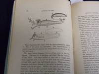 1887 JANUARY THE TRENTON NATURAL HISTORY SOCIETY JOURNAL - J 8711