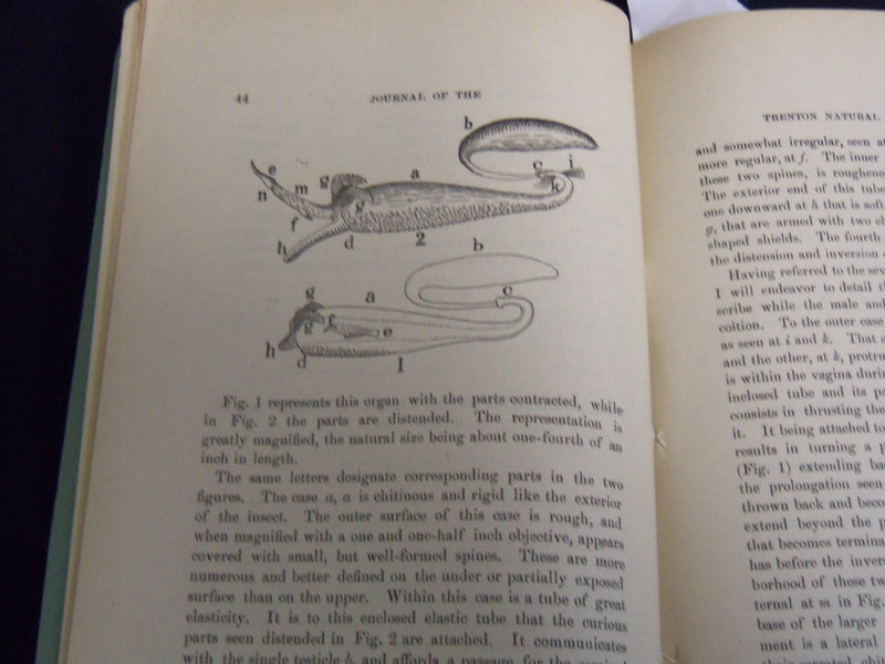 1887 JANUARY THE TRENTON NATURAL HISTORY SOCIETY JOURNAL - J 8711