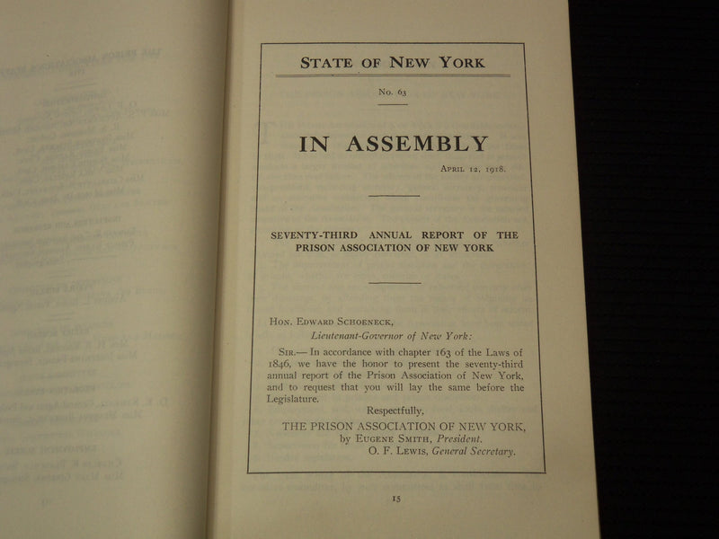 1917 NEW YORK TREATMENT OF DELINQUENTS -73RD ANNUAL PRISON ASSOC. REPORT- K 2701