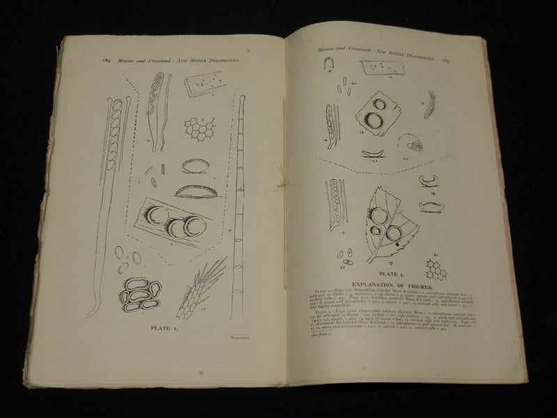 1901 THE NATURALIST MAGAZINE HISTORY FOR NORTH OF ENGLAND LOT OF 12 - WR 106K
