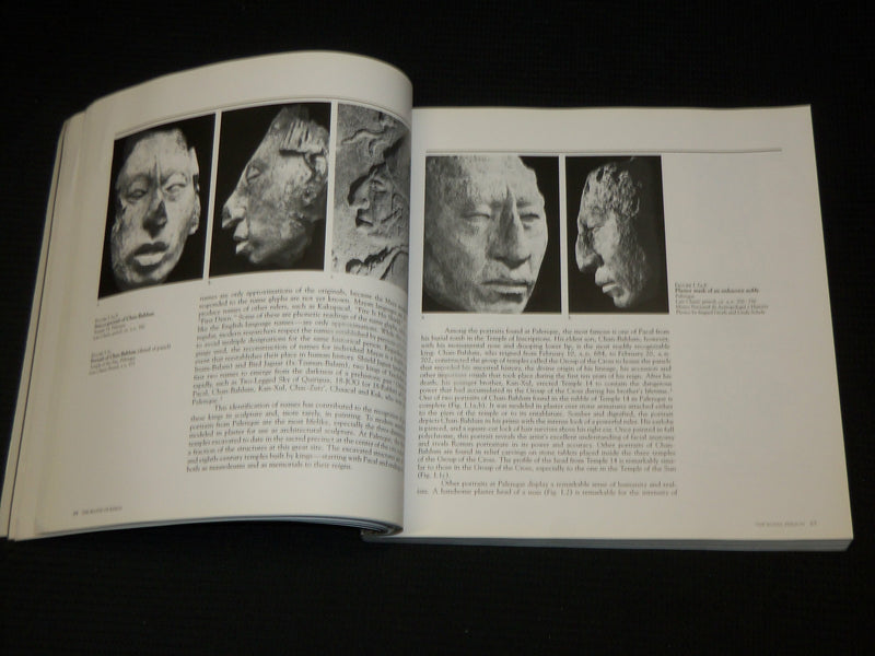 1986 THE BLOOD OF KINGS DYNASTY AND RITUAL IN MAYA ART SOFTCOVER BOOK - R 721E