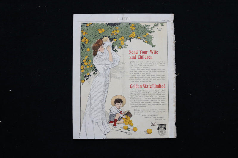1904 JANUARY 7 LIFE MAGAZINE - NEW YEARS COVER - E 10653