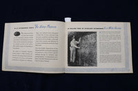 1948 B&O COAL PARTNERS IN PROGRESS SOFTCOVER BOOKLET - K 1489