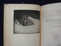 1929 HOVERING SHADOW HARDCOVER BOOK BY ELIZABETH HOLLISTER FROST - KD 8408