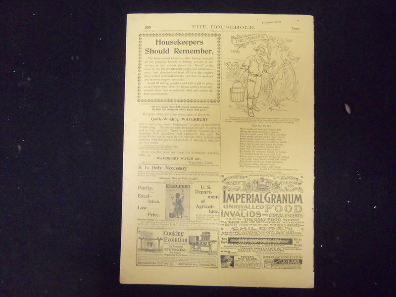 1893 JUNE THE HOUSEHOLD MAGAZINE - ILLUSTRATIONS, STORIES & ADS - ST 3938
