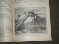 1924 OCTOBER ST. NICHOLAS MAGAZINE - ILLUSTRATIONS, STORIES & ADS - B 4640