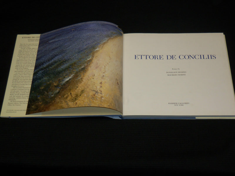 1992 ETTORE DE CONCILIIS HARDCOVER BOOK BY DONELSON HOOPES & MARINI - R 726V