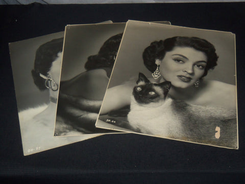 MOVIE ACTRESSES PHOTO LOT OF 3 - 15 1/2 