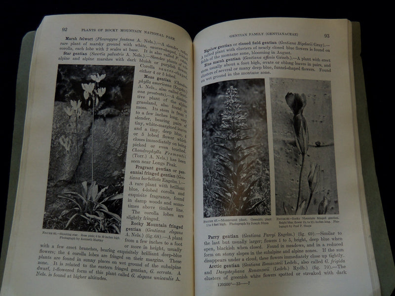 1933 PLANTS OF ROCKY MOUNTAIN NATIONAL PARK BOOK BY RUTH ASHTON - J 7313
