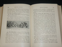 1918 VEGETABLE GARDENING HARDCOVER BOOK BY RALPH L. WATTS - KD 6546