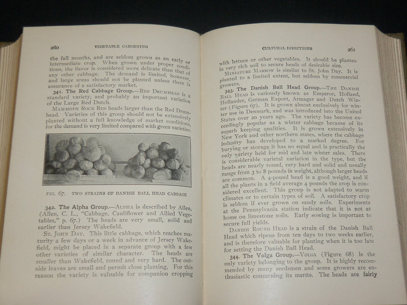 1918 VEGETABLE GARDENING HARDCOVER BOOK BY RALPH L. WATTS - KD 6546