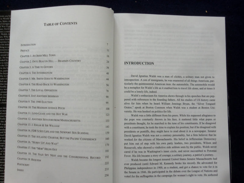 2005 SEX, SPIES, AND VIDEOTAPE - OUTING THE SENATOR HARDCOVER BOOK - KD 8624