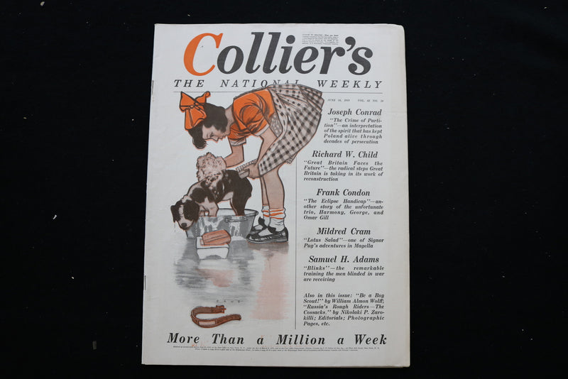 1919 JUNE 14 COLLIER'S MAGAZINE - A GIRL BATHING DOG COVER - E 10954
