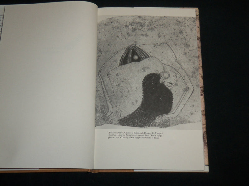 1994 LOVE LYRICS OF ANCIENT EGYPT HARDCOVER BOOK BY BARBARA FOWLER - KD 6921