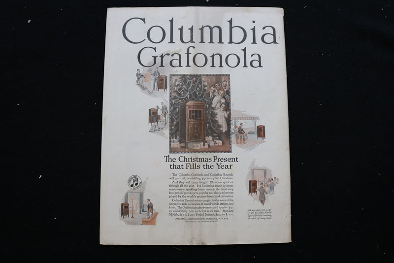 1919 DECEMBER 13 COLLIER'S MAGAZINE - A WOMAN WITH BIRDCAGE COVER - E 10964