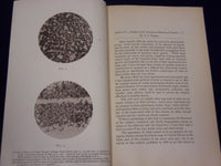 1878-1886 ILLINOIS STATE LABORATORY OF NATURAL HISTORY BULLETIN LOT OF 7- O 1691