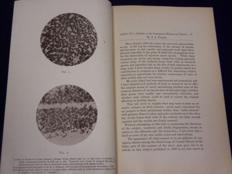 1878-1886 ILLINOIS STATE LABORATORY OF NATURAL HISTORY BULLETIN LOT OF 7- O 1691