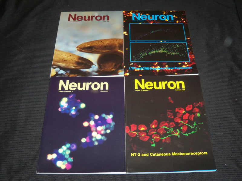 1996 JANUARY-OCTOBER NEURON MAGAZINE LOT OF 10 ISSUES - O 2803