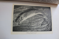 1902 THE SPECKLED TROUT HARDCOVER BOOK BY LOUIS RHEAD - KD 9696