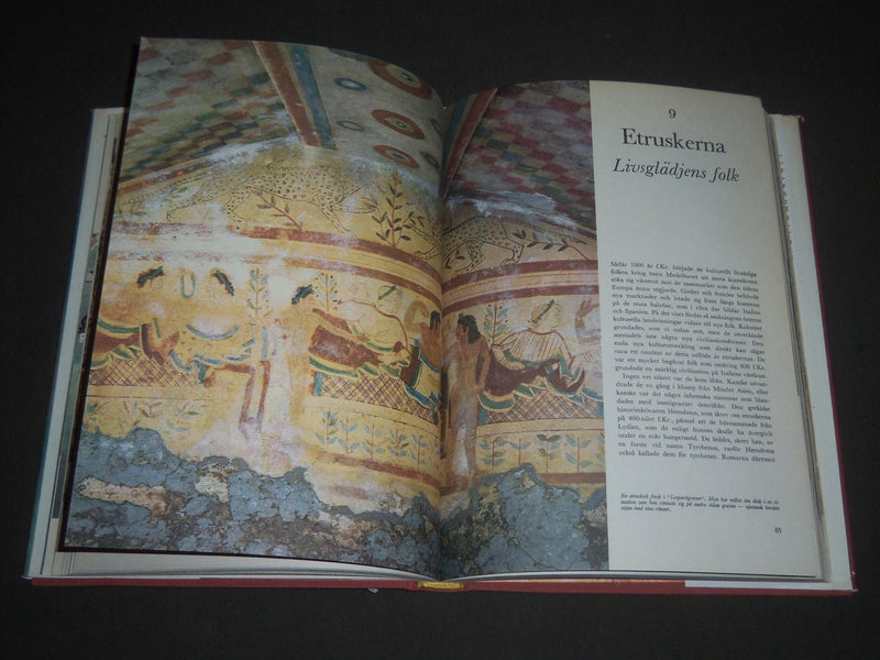 1967 MANNISKANS SAGA BY JAN OJVIND SWAHN SWEDISH BOOK - NICE PRINTS - I 988