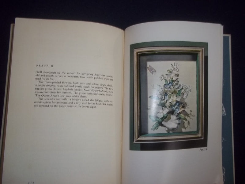 1962 THE ROMANCE OF SHELLS HARDCOVER BOOK-20 OF 400 - L. TRAVERS SIGNED -KD 8150