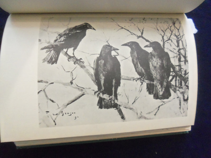 1937 CONCORD RIVER HARDCOVER BOOK BY WILLIAM BREWSTER - KD 8597