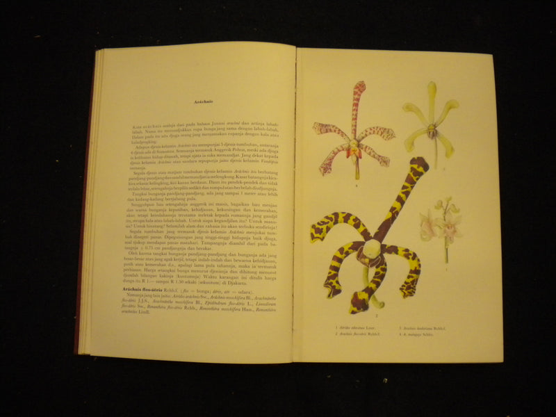 1953 BUNGA ANGGERIK HARDCOVER BOOK BY S.M. LATIF - INDONISIAN TEXT - KD 8134