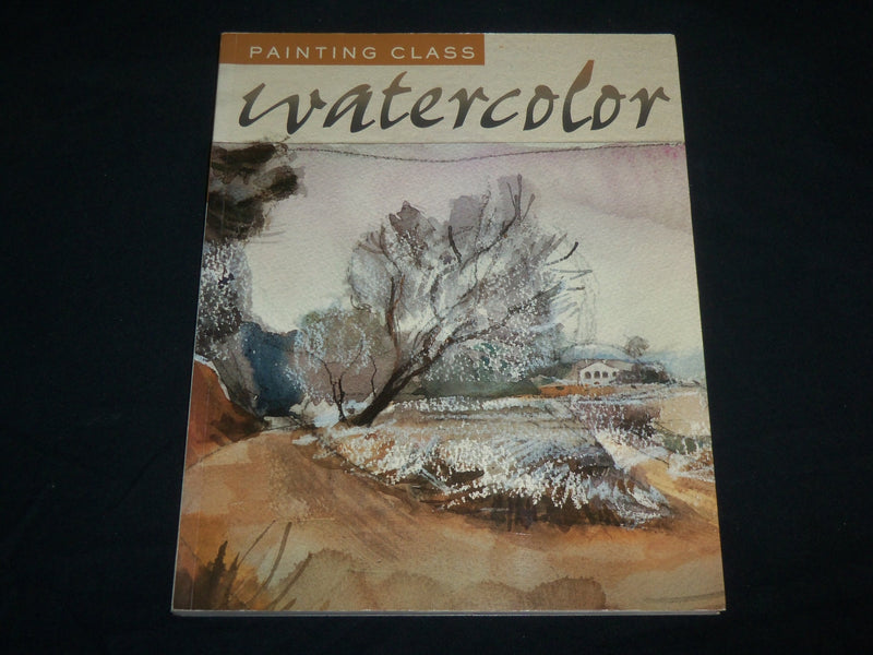 2006 PAINTING CLASS WATERCOLOR SOFTCOVER BOOK - GREAT PHOTOS - I 2003