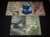 1953-1956 JUNIOR NATURAL HISTORY MAGAZINE LOT OF 35 ISSUES - O 1779C