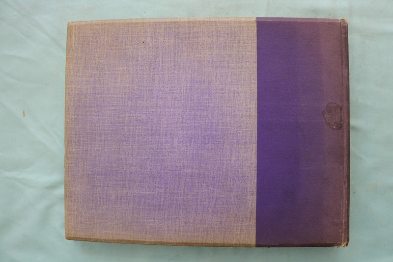 1896 THE VIOLET NEW YORK UNIVERSITY YEARBOOK - YB 3591