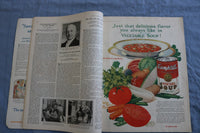 1926 AUGUST MCCALL'S MAGAZINE - BEAUTIFUL NEYSA MCMEIN COVER - SP 4785R