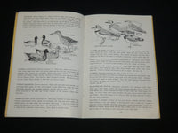 1945 BIRDS OF FLORIDA SOFTCOVER BOOK BY FRANCIS MYLY HALL - J 6563