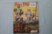 1962 AUGUST BOYS' LIFE MAGAZINE - SQUIRREL FAMILY DRAWING COVER - E 26528