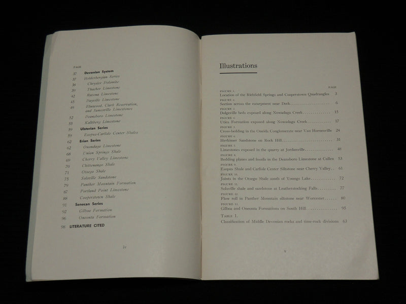 1964 STRATIGRAPHY & PALEONTOLOGY OF RICHFIELD SPRINGS BOOK - MAPS - J 7052