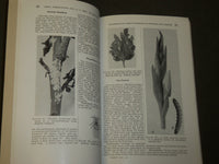 1926 WHAT WHERE WHEN AND HOW TO PLANT BOOK - THIRD EDITION - J 3718